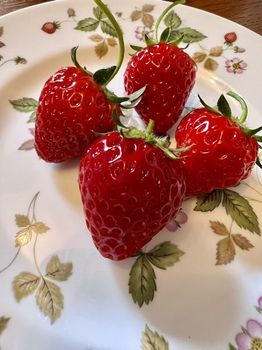 strawberry5-20220514.jpeg