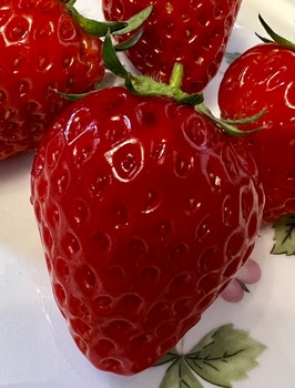 strawberry6-20220514.jpeg