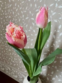 tulip6-20220220.jpg